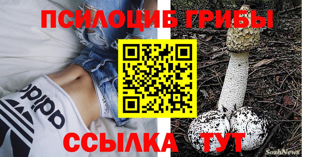 цены   Вход с VPN  Зима  Псилоцибиновые грибы MAGIC MUSHROOMS 